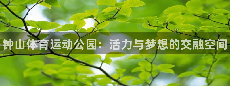 oety欧亿体育官网下载招商电话地址：钟山体育运动公