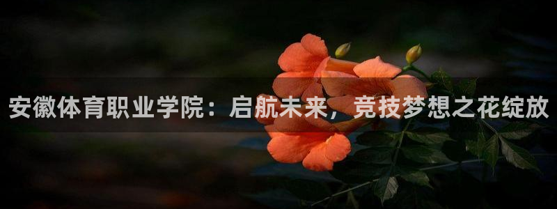 oety欧亿体育官网下载招商：安徽体育职业学院：启航