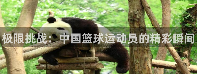 oety欧亿体育官网下载招商电话：极限挑战：中国篮球