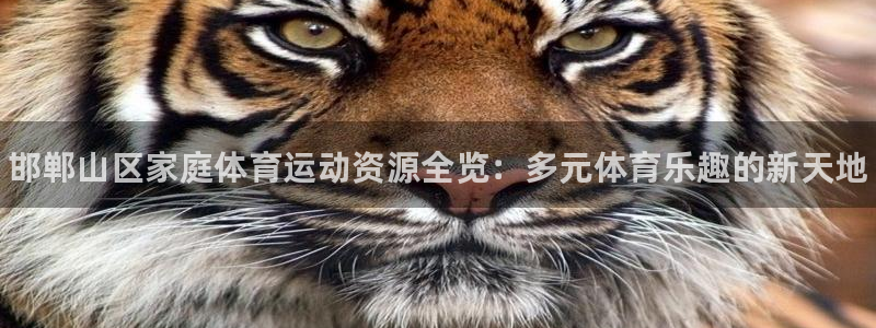 oety欧亿体育官网下载平台假的吗是真的吗：邯郸山区