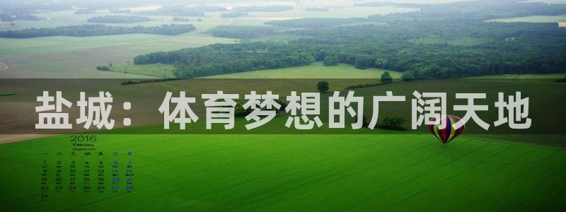 欧亿体育官方正版app集团E.ON：盐城：体育梦想的