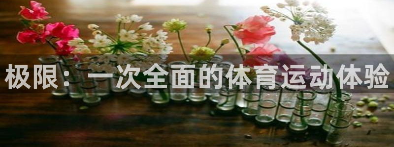 oety欧亿体育官网下载平台注册：极限：一次全面的体