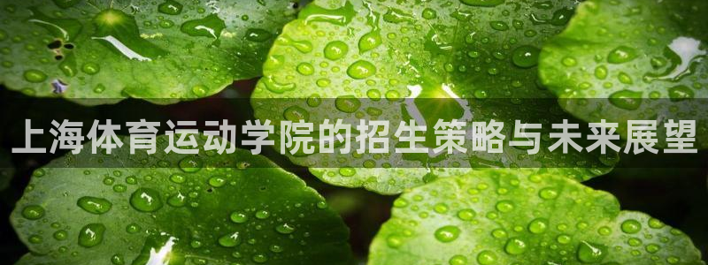欧亿体育官方正版app娱乐下载：上海体育运动学院的招