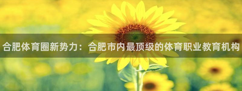 欧亿体育官方正版app神州：合肥体育圈新势力：合肥市内最顶级