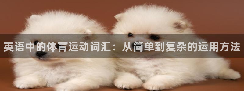 oety欧亿体育官网下载招商电话地址查询