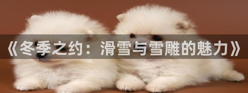 oety欧亿体育官网下载平台注册要钱吗：《冬季之约：滑雪与雪