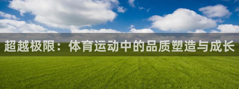 oety欧亿体育官网下载平台注册：超越极限：体育运动中的品质