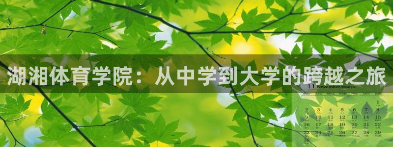 欧亿体育官方正版app集团官网首页网址