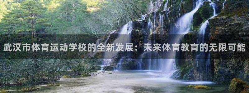 欧亿体育官方正版app集团官网网址：武汉市体育运动学