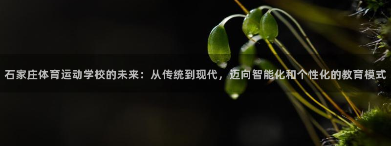 oety欧亿体育官网下载：石家庄体育运动学校的未来：