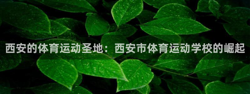 oety欧亿体育官网下载招商电话是多少号码：西安的体