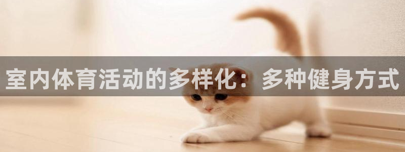 欧亿体育官方正版app代理：室内体育活动的多样化：多